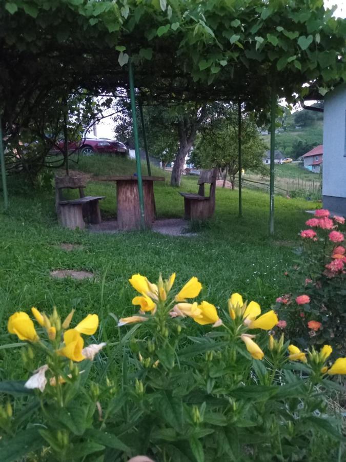 Apartamento Zelena Oaza Visoko Exterior foto